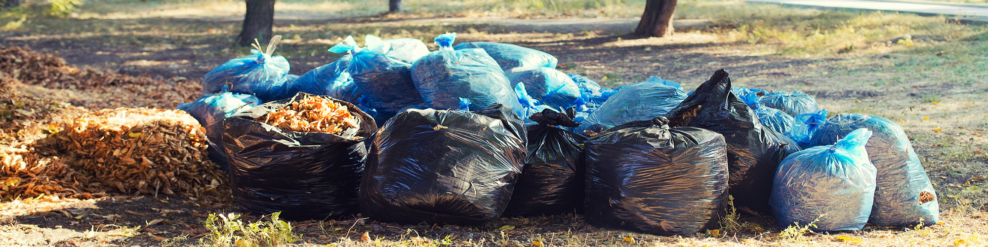 Garbage and Leaves