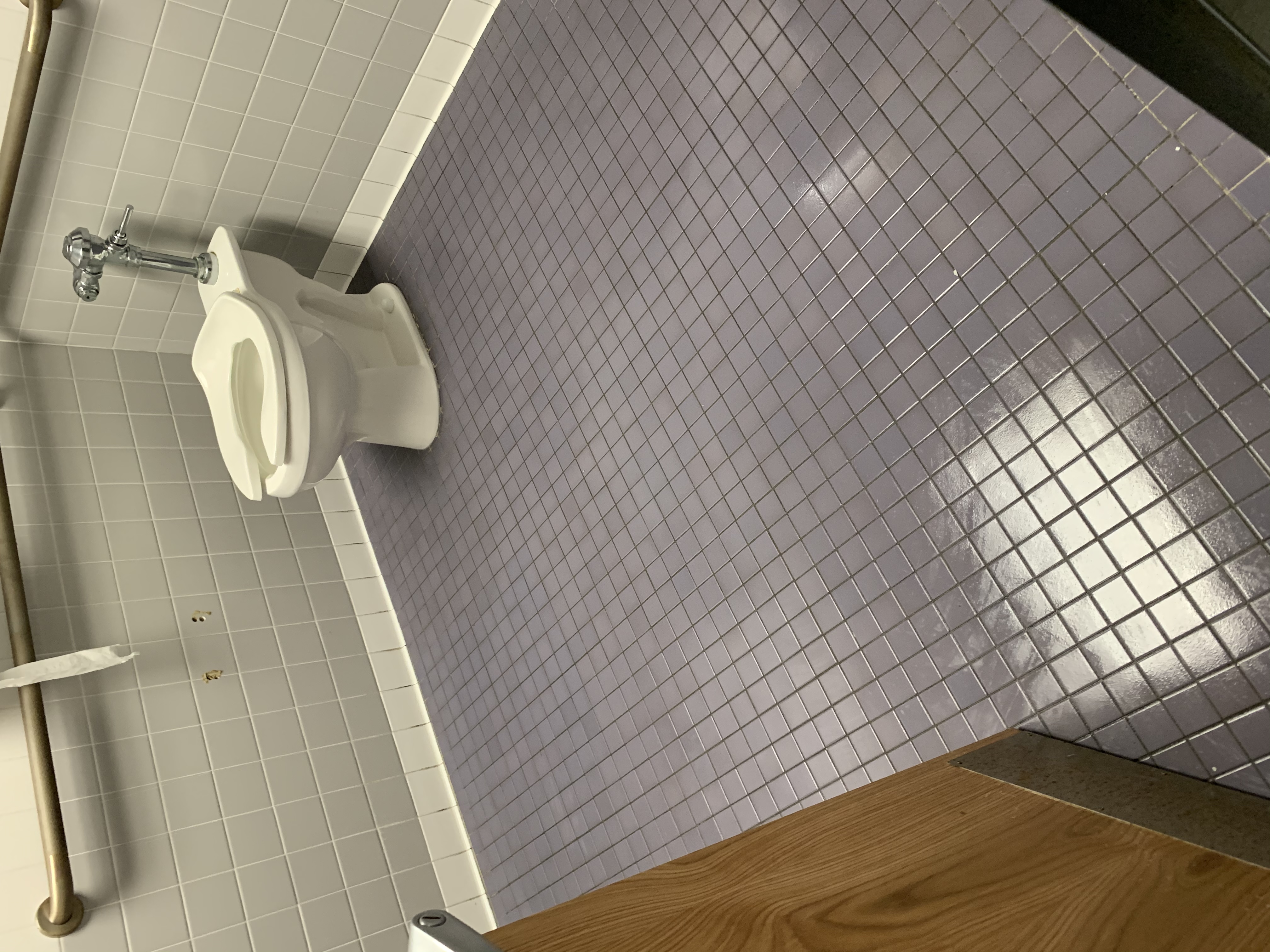 Restroom Cleaning Services