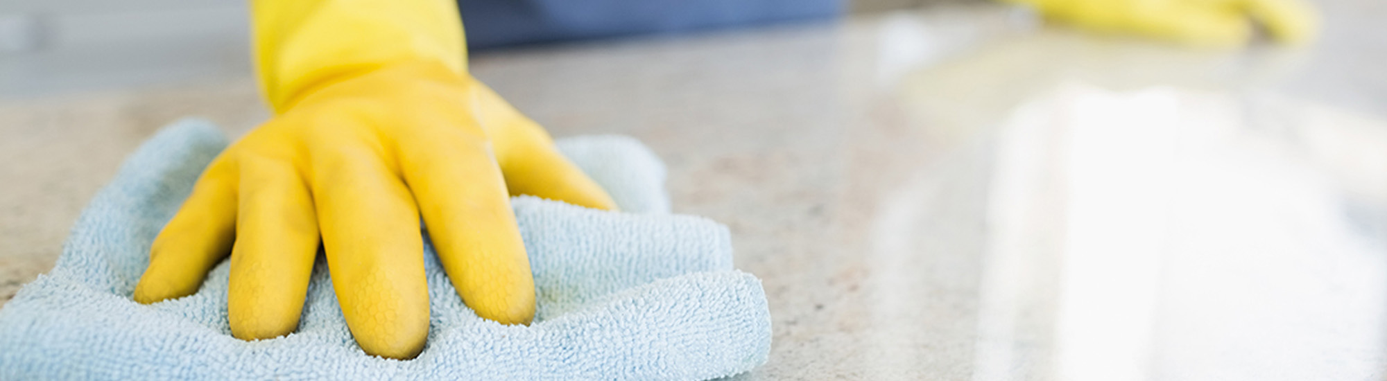 janitorial services